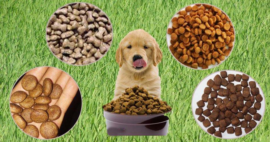 依瑪 | 噴碼機在寵物飼料行業(yè)的應(yīng)用