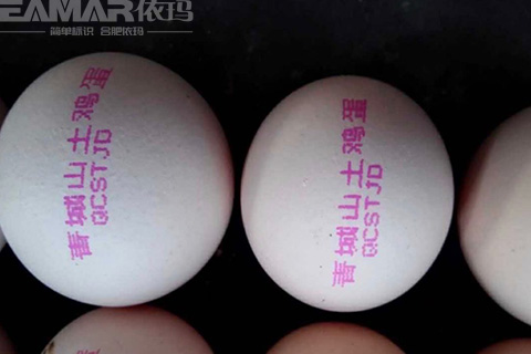 雞蛋噴碼機(jī)樣品效果